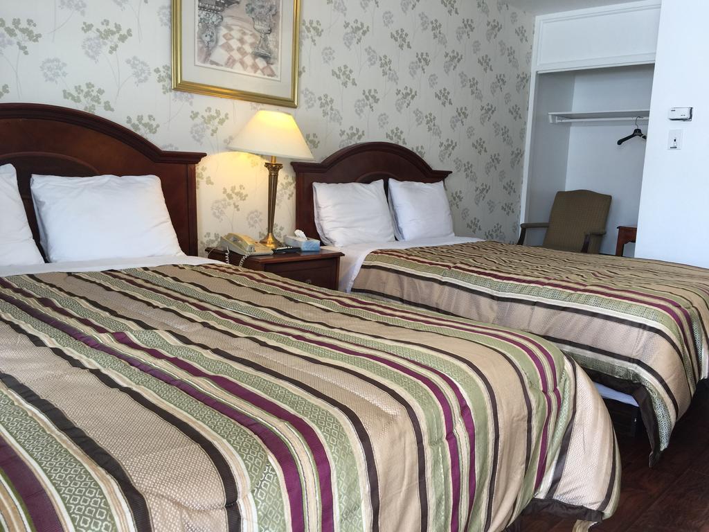 Stardust Motel Ottawa Phòng bức ảnh